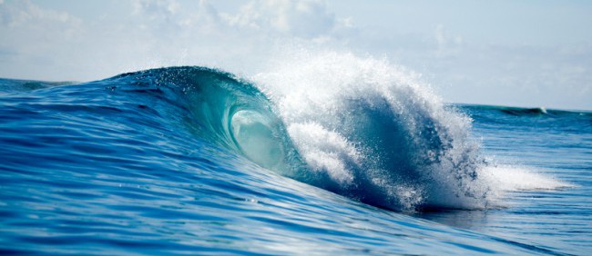 weightloss weight loss