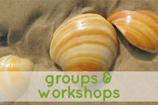 groups workshops
